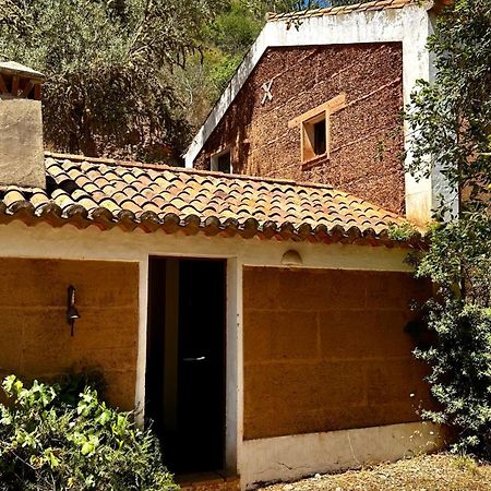 Гостевой дом Casas Da Cerca Troviscais Экстерьер фото