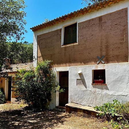 Гостевой дом Casas Da Cerca Troviscais Экстерьер фото