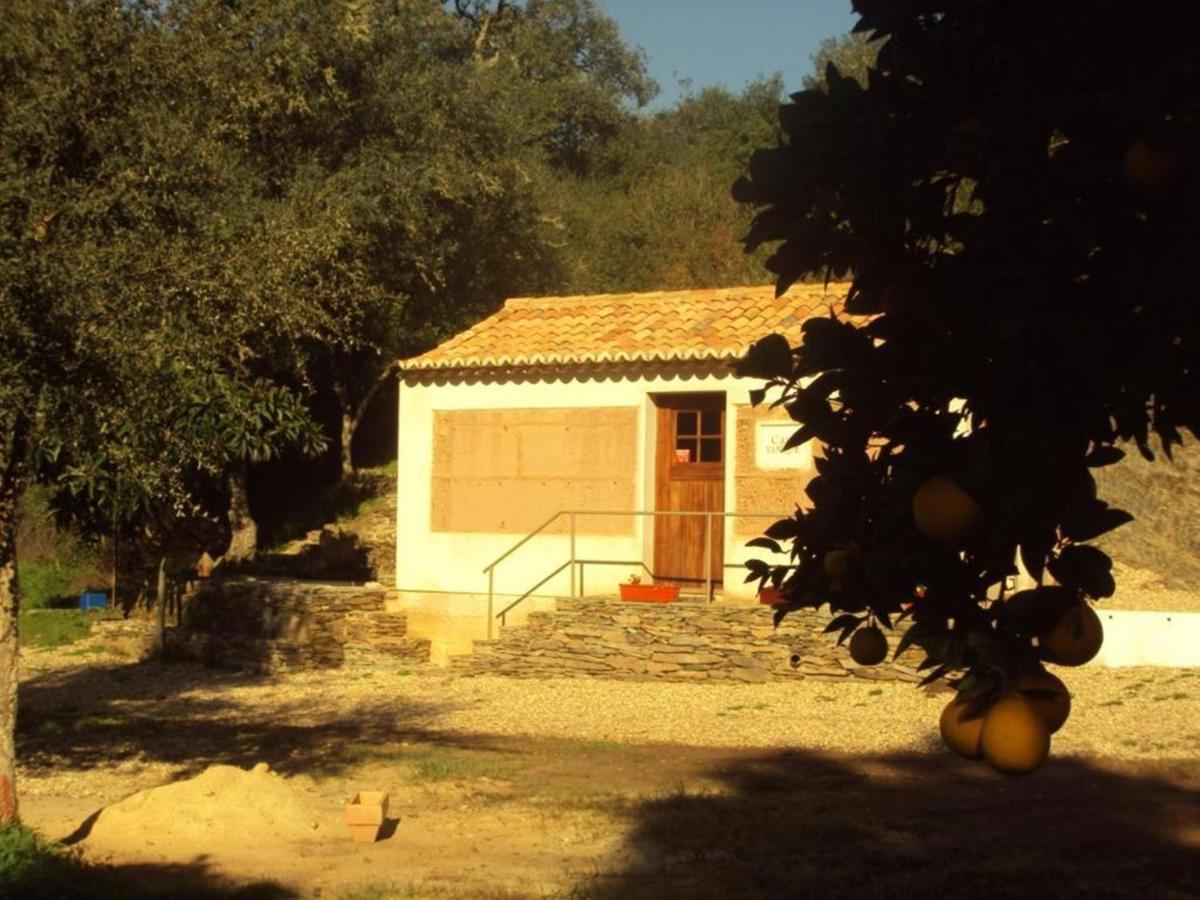 Гостевой дом Casas Da Cerca Troviscais Экстерьер фото