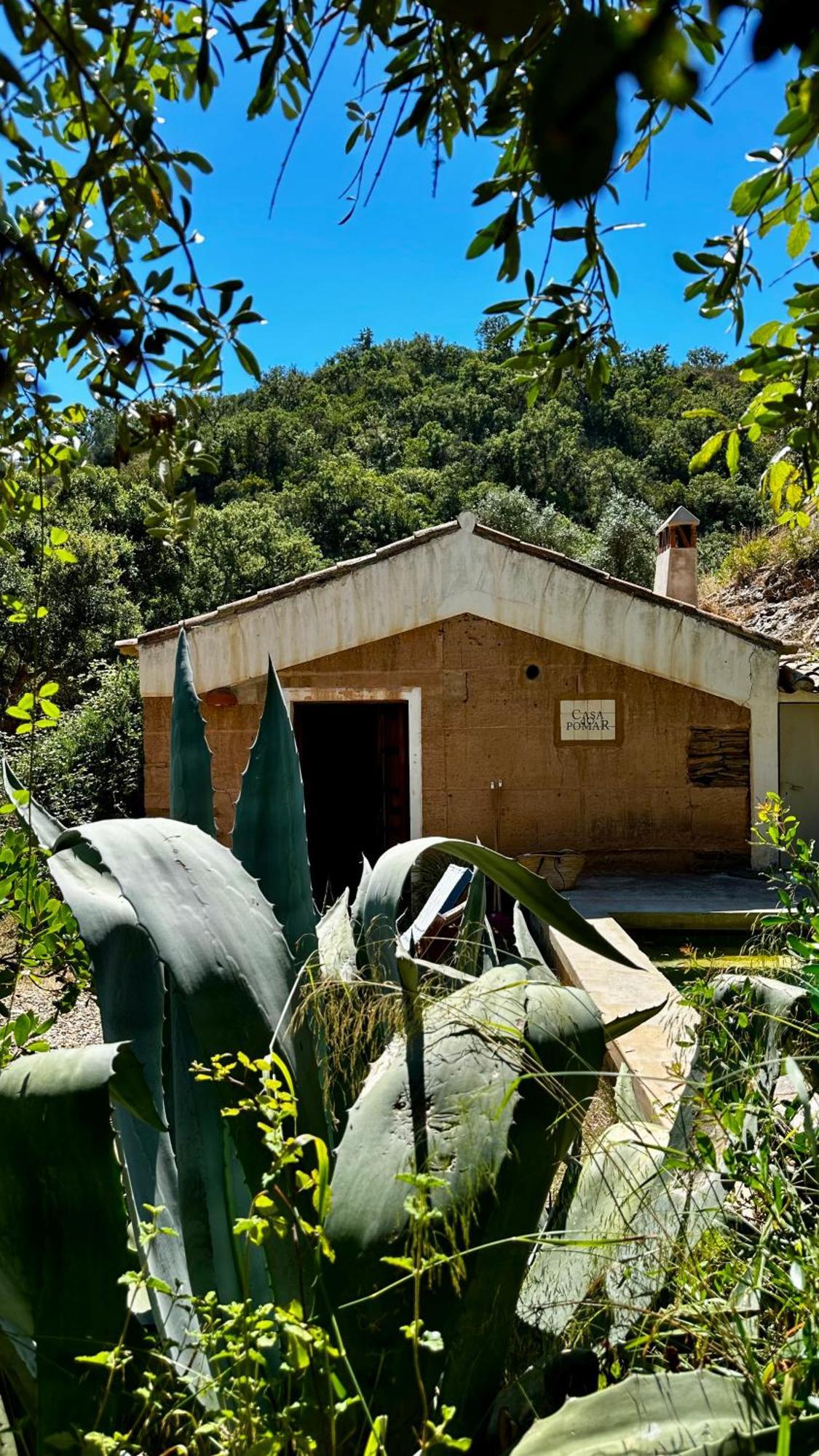 Гостевой дом Casas Da Cerca Troviscais Экстерьер фото