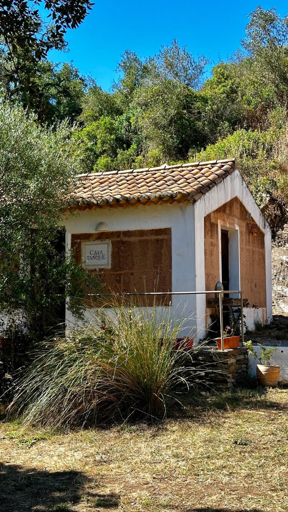 Гостевой дом Casas Da Cerca Troviscais Экстерьер фото